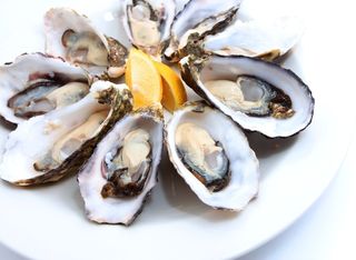 raw oysters on a plate