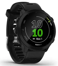 Garmin Forerunner 55 Garmin Forerunner 55