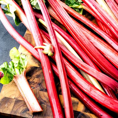 rhubarb stalks freshly harvested on chopping board