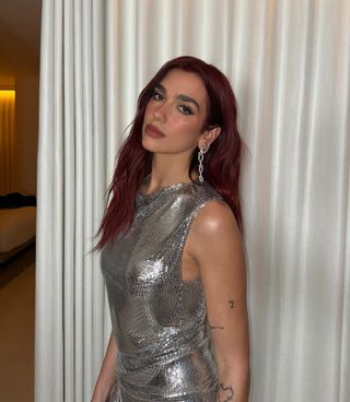 A picture of Dua Lipa with copper hair.