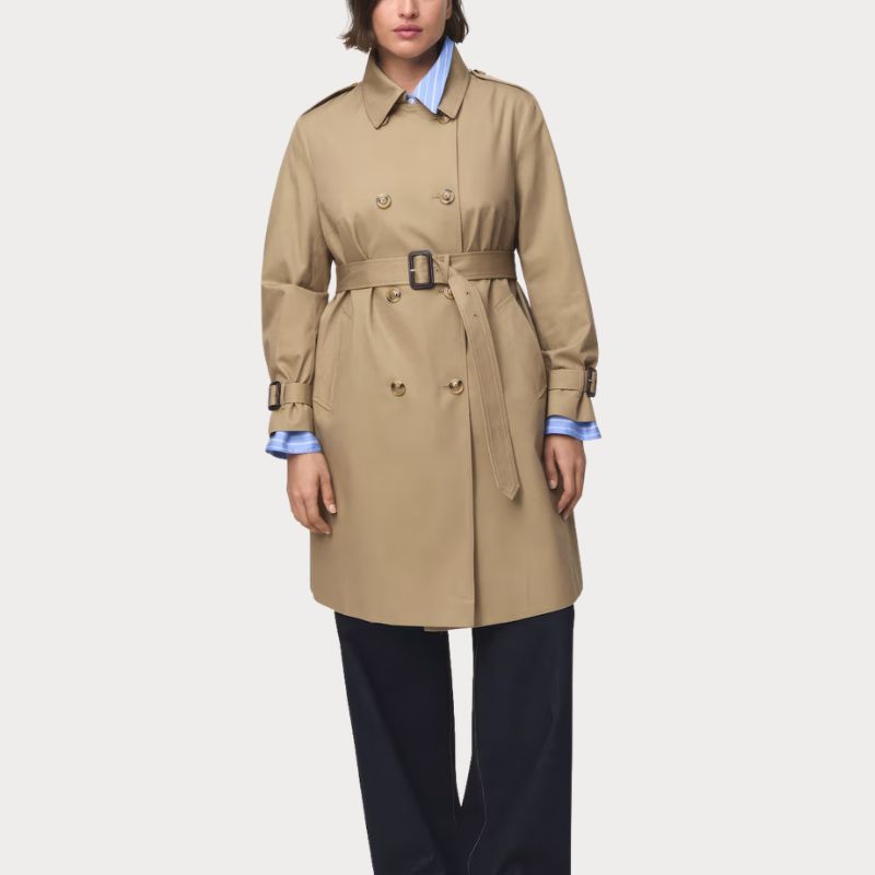 Image of mango trench