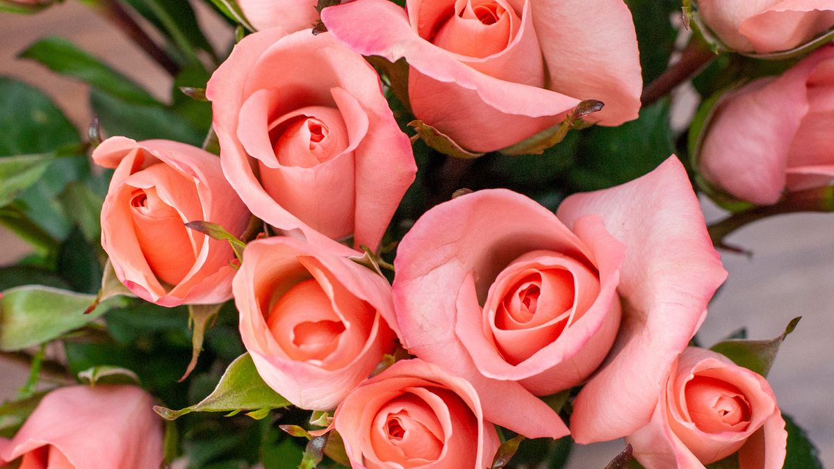 Valentine's Day flower delivery