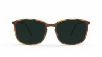 Best sunglasses: Silhouette Sun Lite 4078/75 6030 Polarised