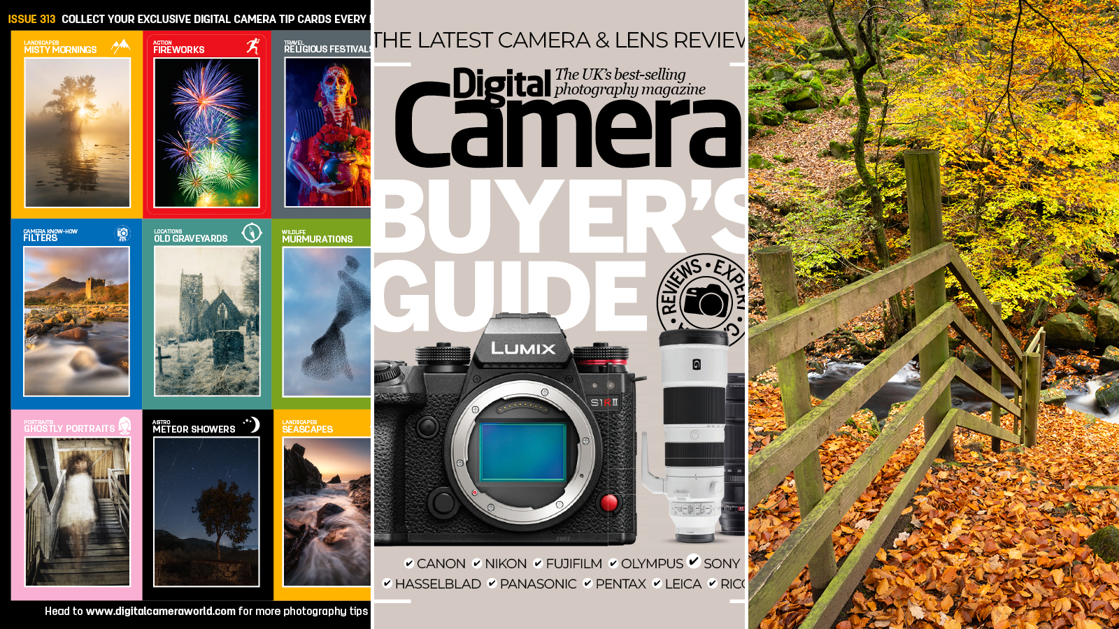 Image showing some highlights from the digital downloads available in issue 313 of Digital Camera magazine: 9 photo tips cards, a camera buying guide PDF, and a photograph of an autumn scene.