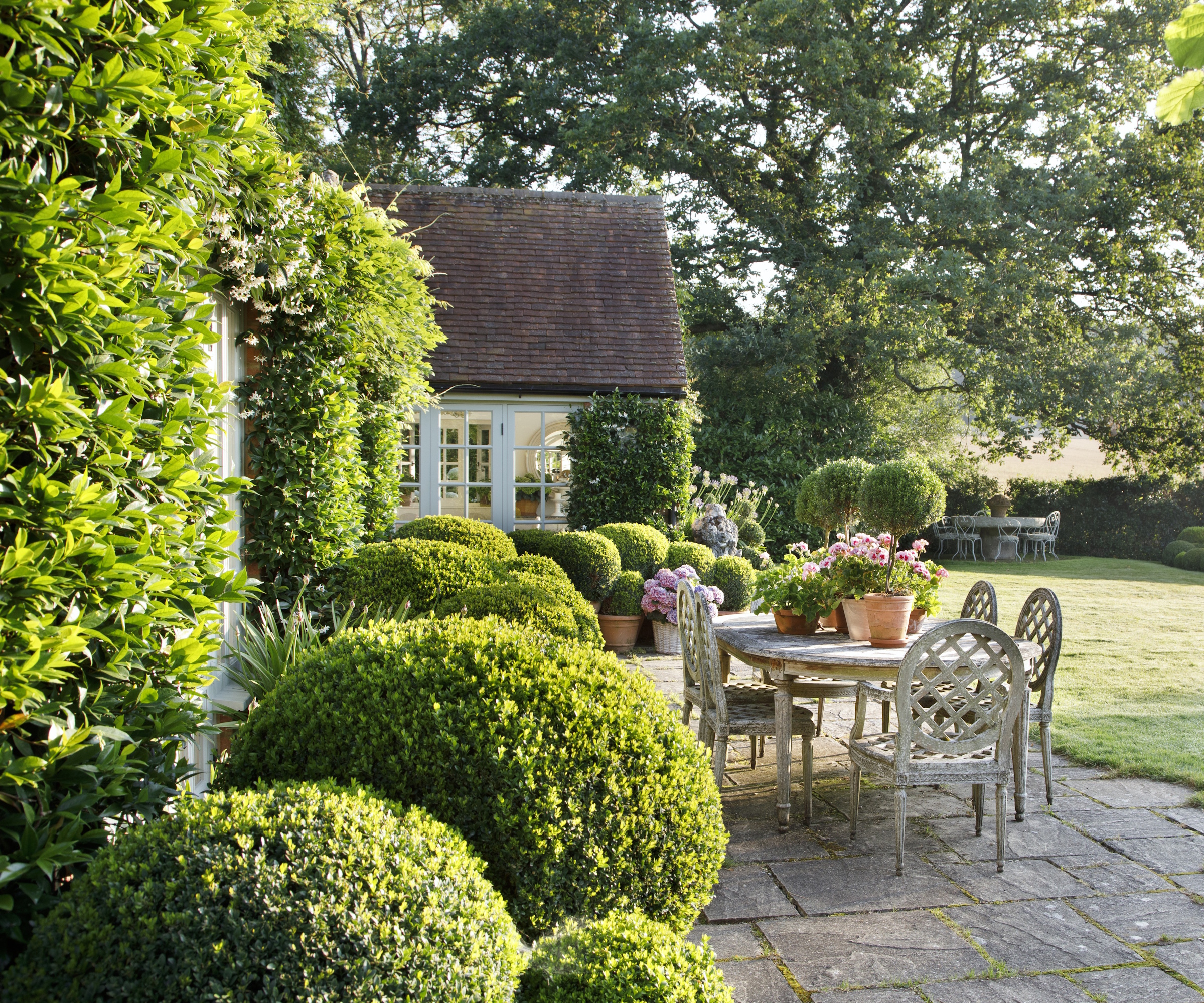 Topiary domes in a back garden during summer, with patio furniture situated behind on an old stone patio