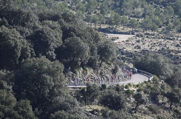 The peloton snakes its way across Mallorca