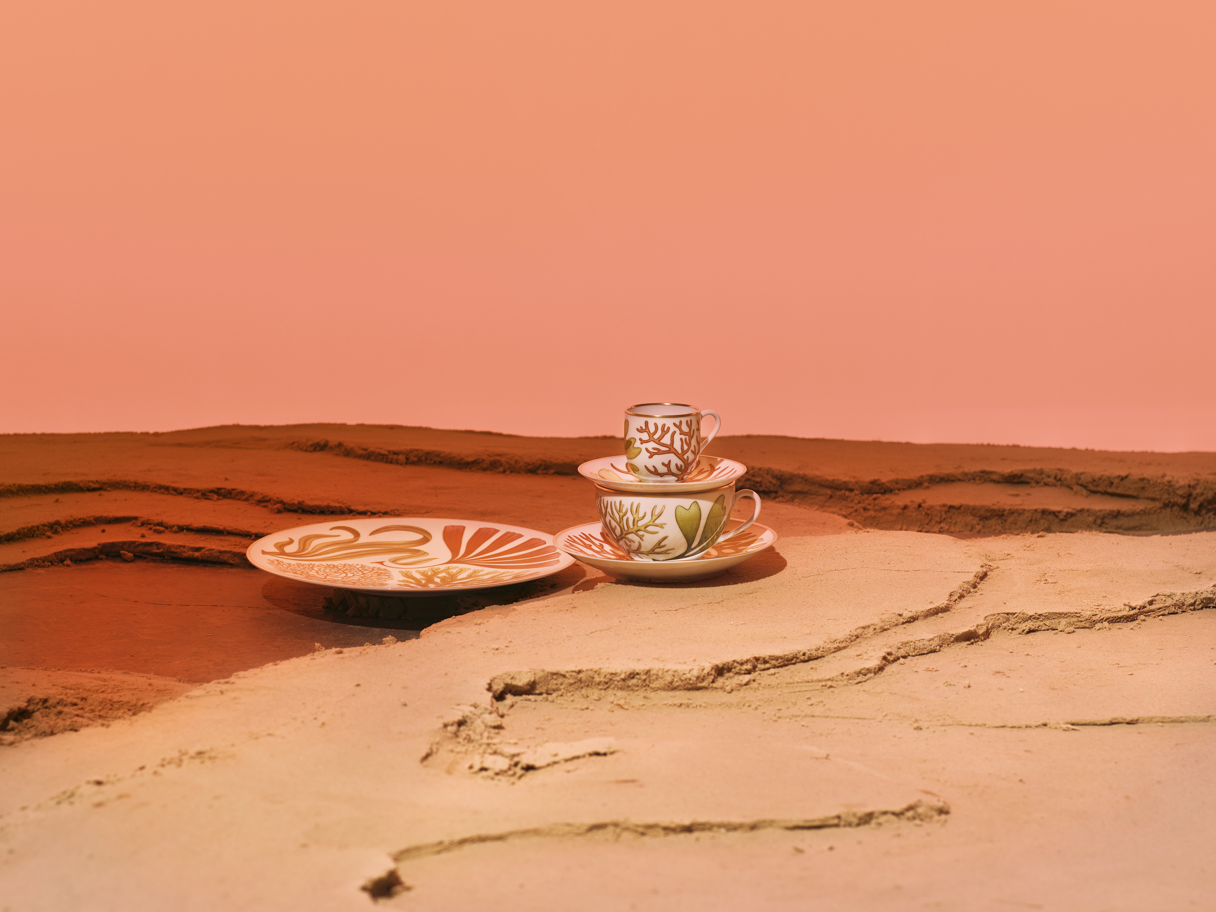 Hermes Tableware with botanical marine illustrations