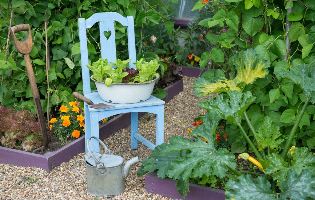 Kitchen garden ideas: ways to get started | Homes & Gardens