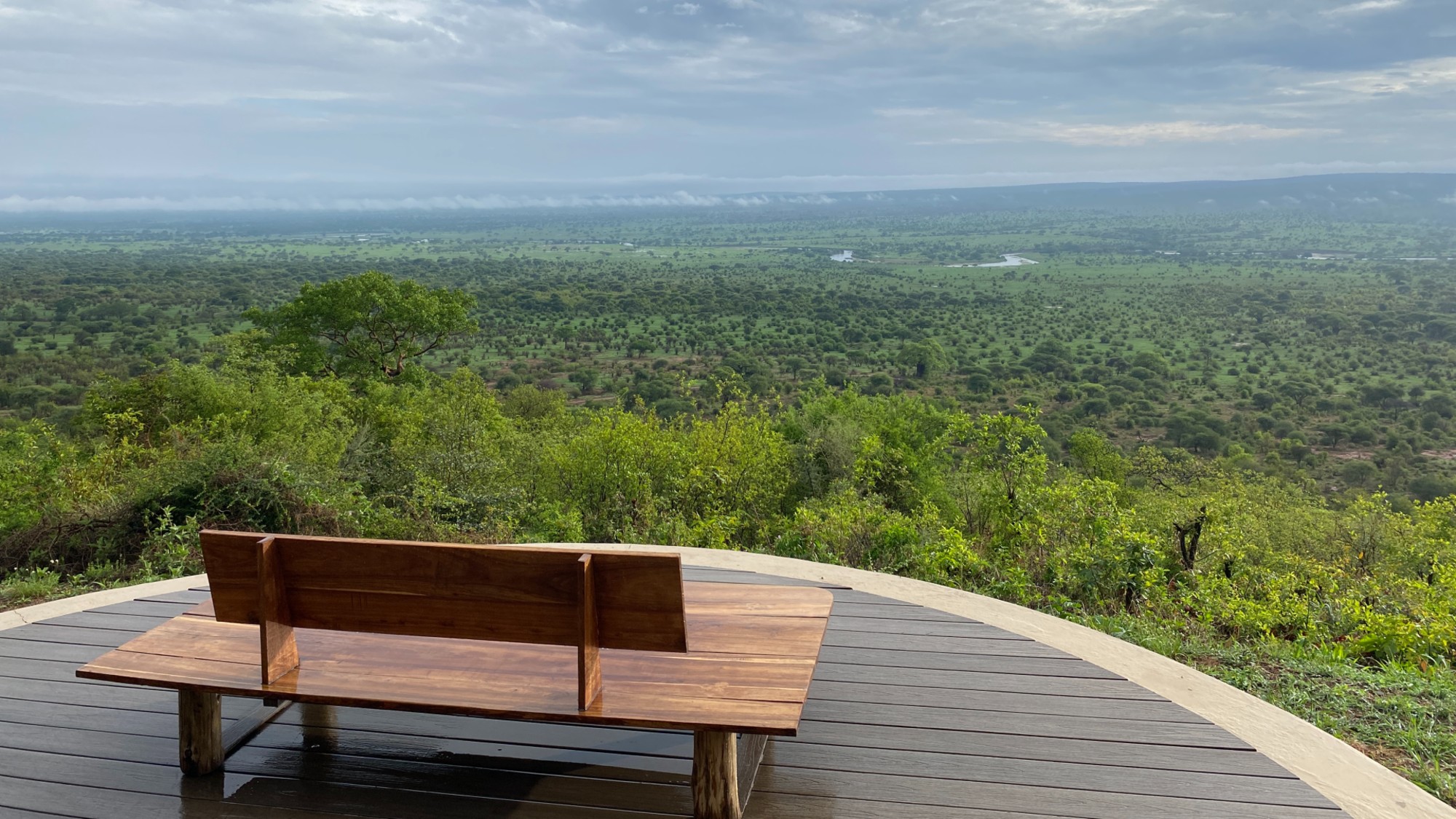 Bench overlooking a green valley in Tarangire National Park