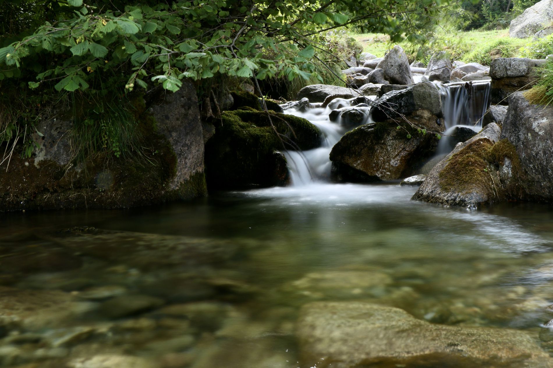 GuruShots - Nature March 2026