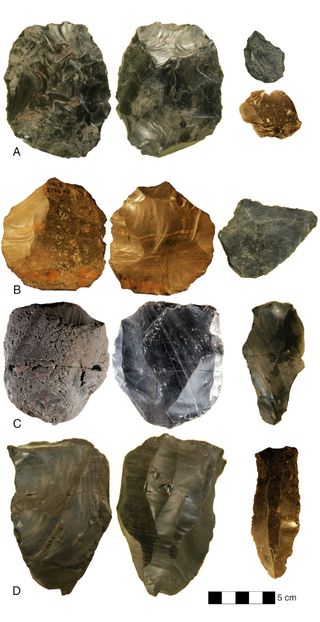 Stone Tools Technological Variability