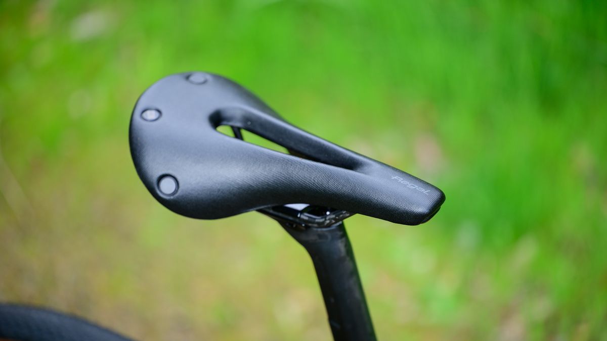 Colnago C68 Gravel with Sella San Marco Regal Short Dynamic