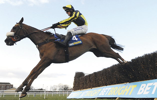BetBright Festival - Doncaster Races