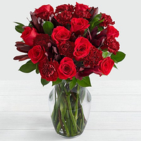 ProFlowers
Buy one dozen roses for $95