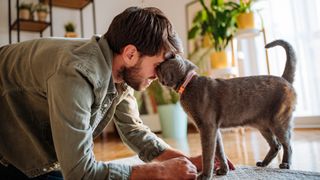 Man and cat