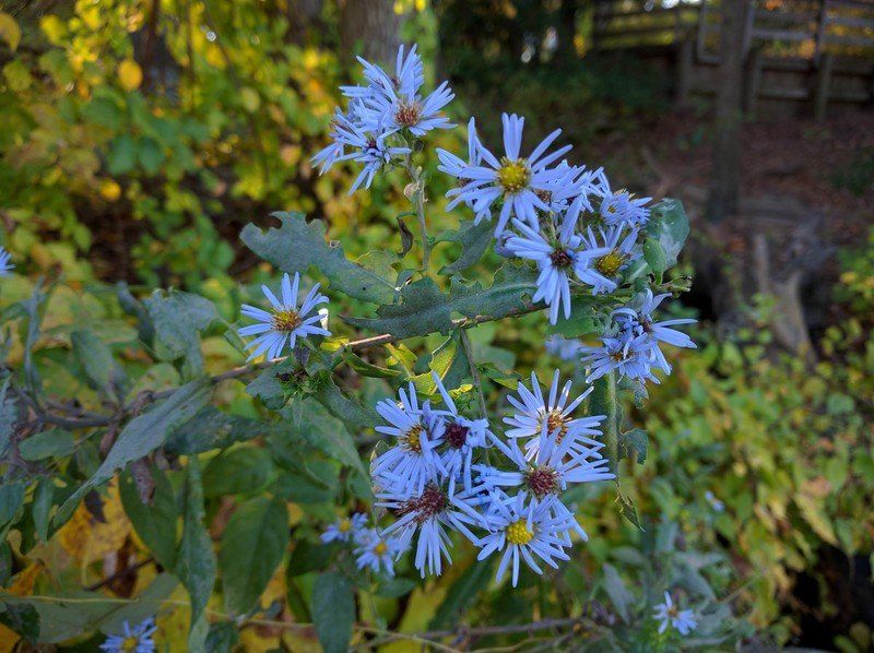Nexus 6P