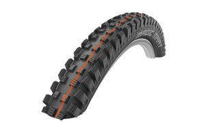 Schwalbe Magic Mary