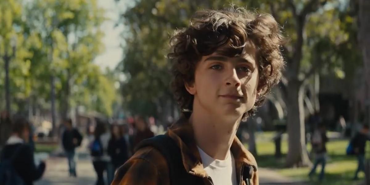 A Brief History of Timothée Chalamet's Beautiful Hair