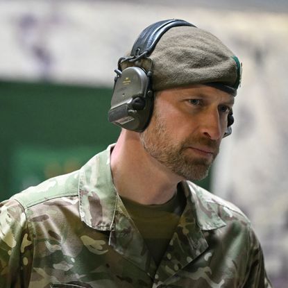 Prince William beard