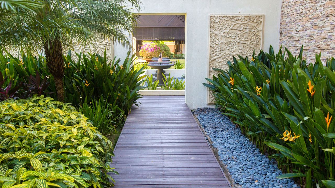 How to Create a Tropical Urban Oasis in a Small Space – 7 Plants That Will Transform Your Yard into a Lush Jungle Retreat