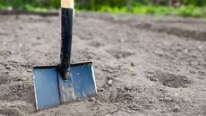 A close up of a sharpened spade in the ground