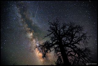 Photographer Jeff Berkes caught this Perseid meteor over Dead Horse Point State Park, Utah, on July 30, 2011.