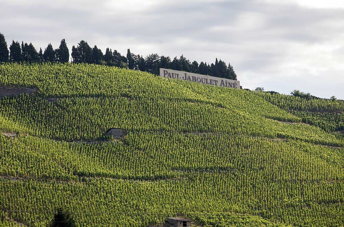 Chambertin 2004 & Echézeaux 2015 2004 Bordeaux - Real Vintage Of The Century – So Far | Decanter