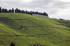 Bordeaux Rh&ocirc;ne