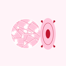 Pink, Product, Logo, Graphics, Magenta, Illustration, Circle, 