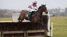 TOM CODY and John Dawson win the 2m4f Maiden at Berwickshire Hunt Point-To-Point , Friars Haugh Kelso 13/2/22 Photo by Marcia Thompson -GROSSICK RACING The Steadings Rockhallhead Collin DG1 4JW 07710461723 www.grossick.co.uk JOHN GROSSICK
