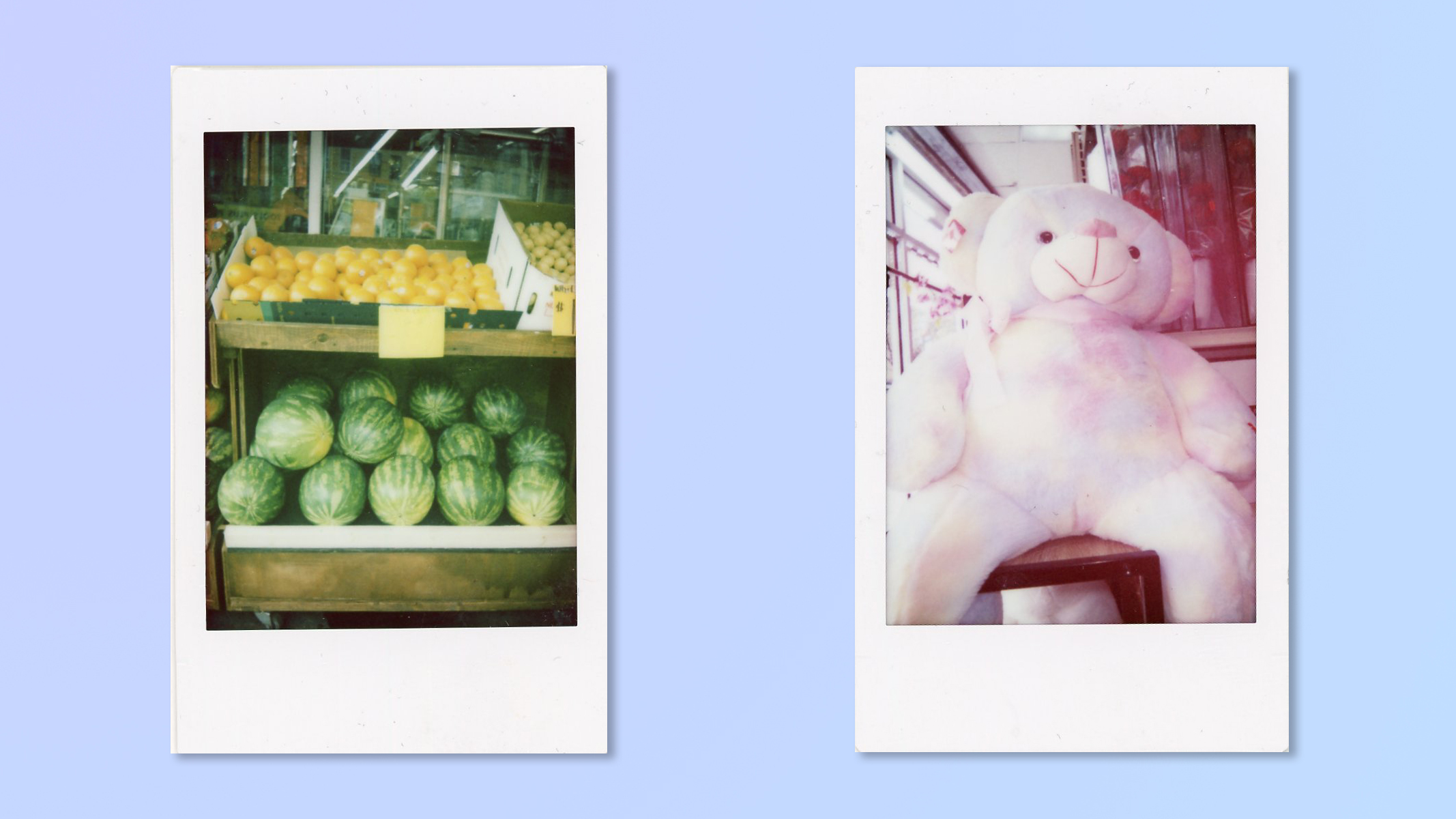 Two Instax photo prints scanned and overlaid on a blue background. All taken on a Fujifilm Instax mini 99 showing Faded Green and Soft Magenta filters. The left image in Faded Green is of a market stall full of watermelons. The right picture is of a giant teddy bear in Soft Magenta filter.