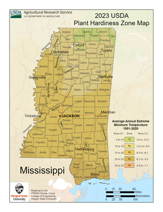 USDA Plant Hardiness Zone Map for Mississippi