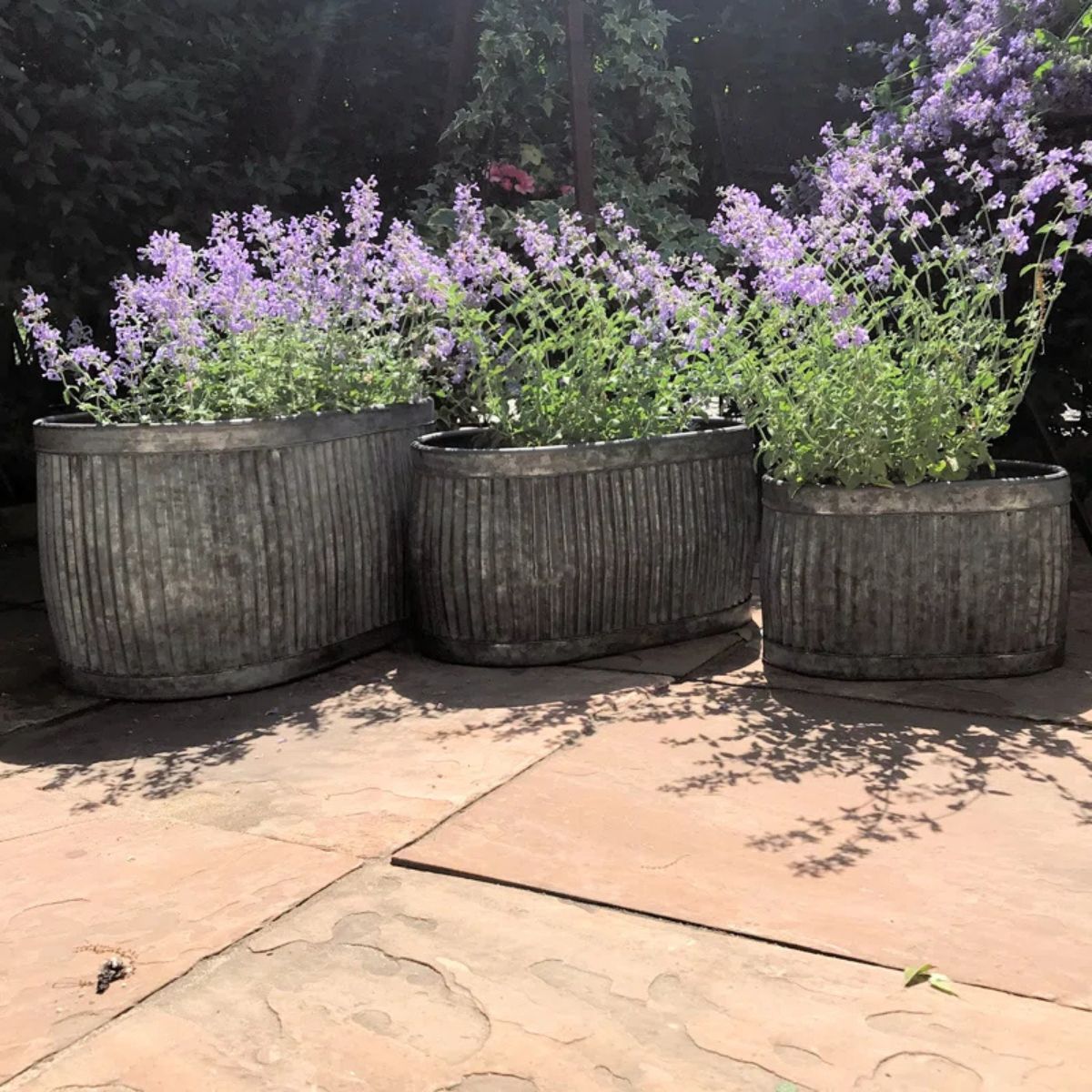 A set of three plant pots