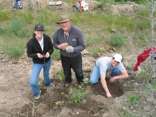 Fossil site in Canada