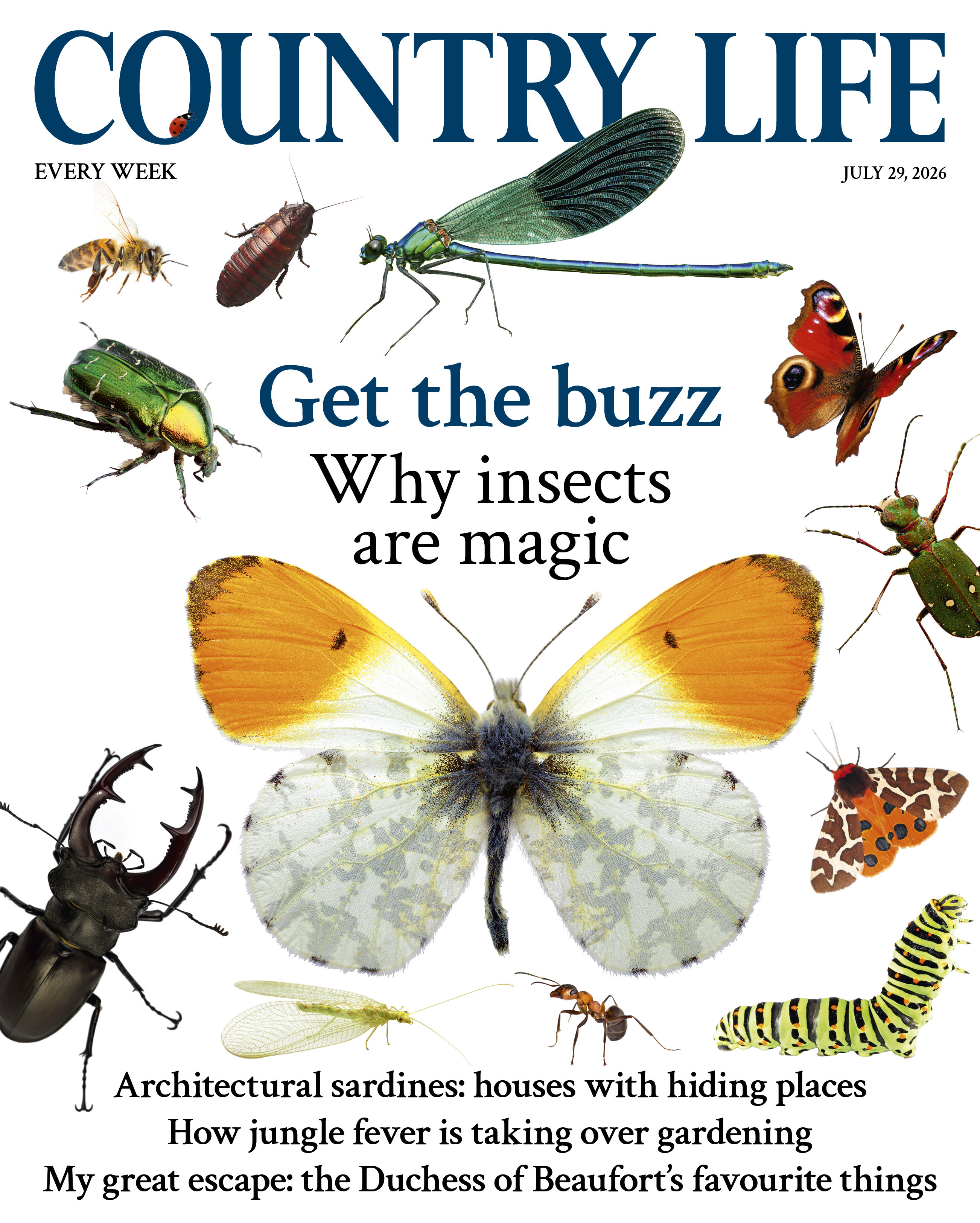 Cover of Country Life 29 July 2026 