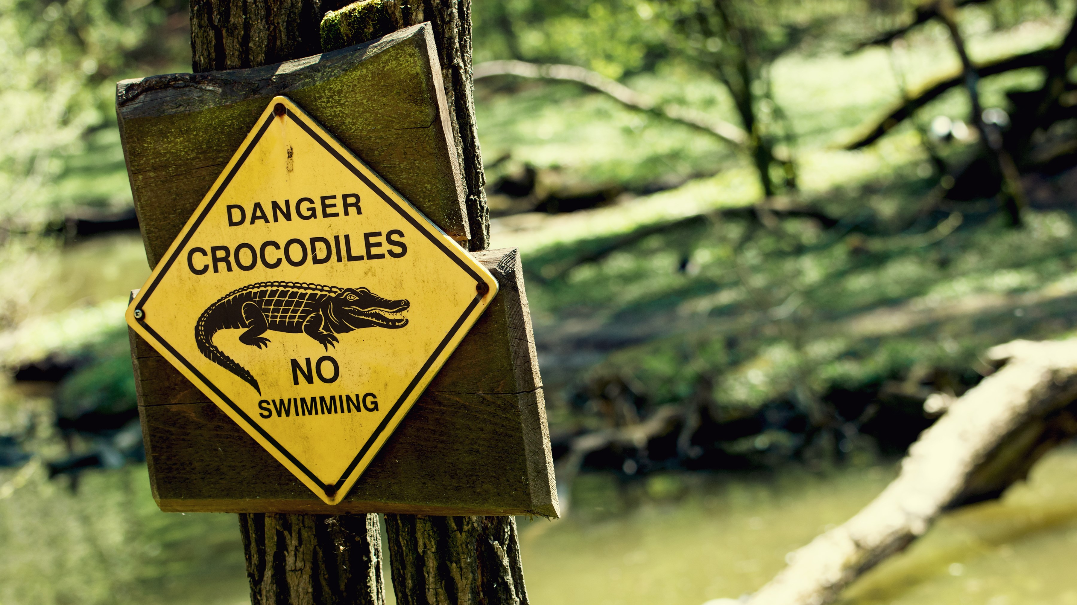 Ein gelbes Schild an einem Holzpfosten warnt vor Krokodilen in einem Gewässer im Hintergrund.
