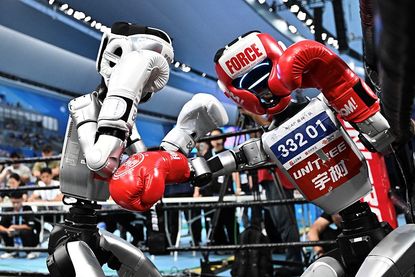 Robots compete in a boxing event during the World Humanoid Robots Games in Beijing