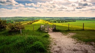 The Ridgeway National Trail from Ivinghoe Beacon towards Whipsnade
