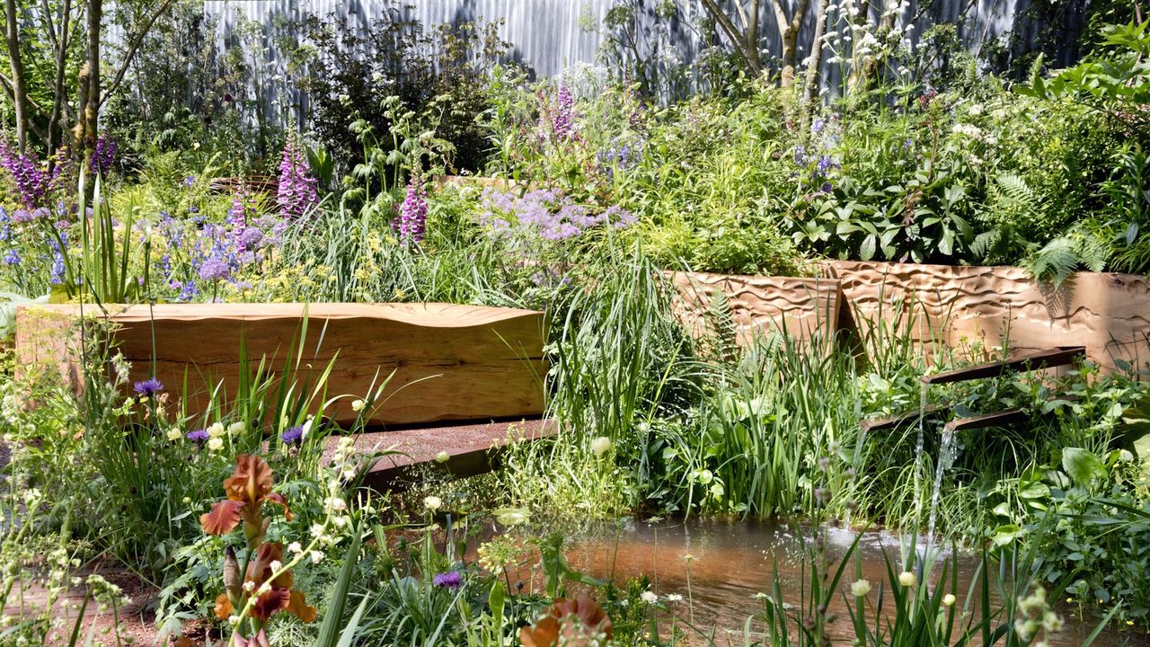 Bright and colorful borders in an RHS Chelsea Flower Show garden in 2024