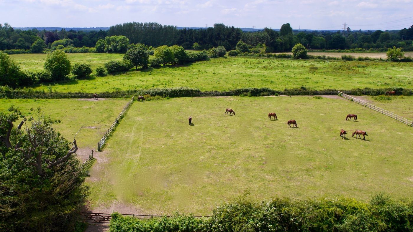 Burrow-Hill-Farm-Knight-Frank-25-scaled-e1584464635479.jpg