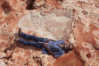 Richard Hunter, the Goolarabooloo law boss, lies next to a giant sauropod dinosaur track.