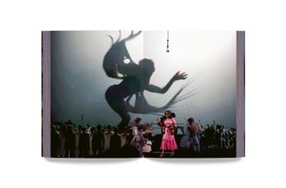 Björk tour book images