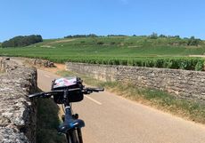 beaune cycle vineyards