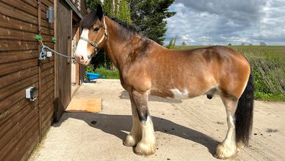 Hovis’ Friday diary