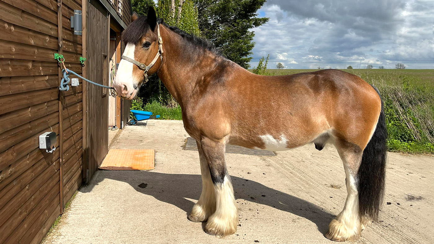 Hovis&rsquo; Friday diary