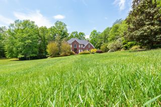 Tall Fescue lawn grass