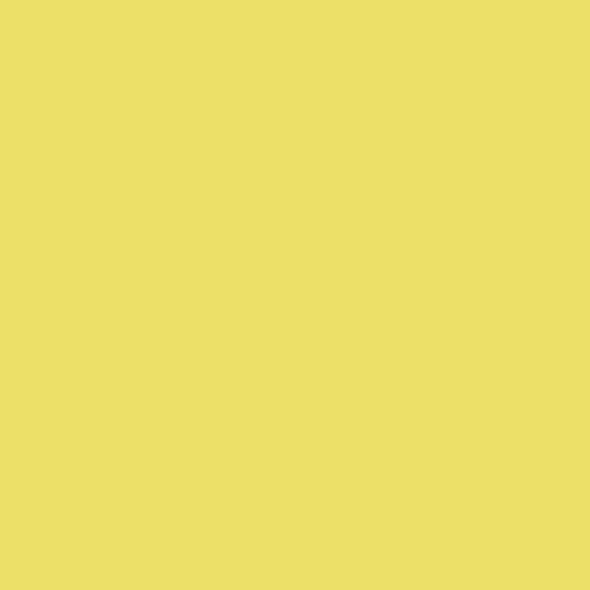 Little Greene, Indian Yellow™