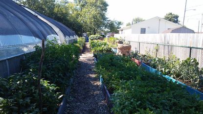 Gardening Know How Sponsorship Recipient: StarkFresh | Gardening Know How