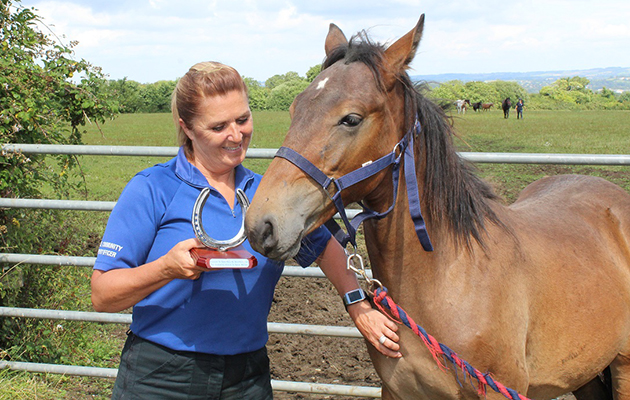 Horseworld-award-feature.jpg