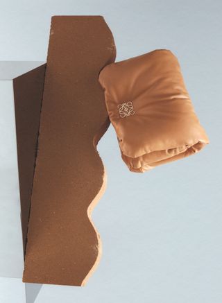 Padded Loewe bag resting on wiggly brick